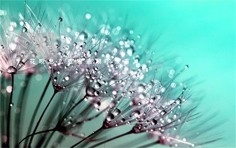花呗怎么查看逾期了没有 花呗怎么查看逾期了没有