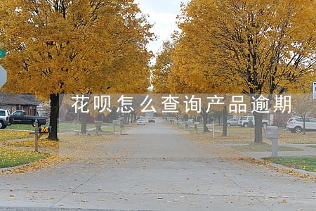 花呗怎么查询产品逾期 花呗怎么查询产品逾期