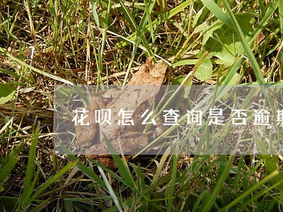 花呗怎么查询是否逾期 花呗怎么查询是否逾期