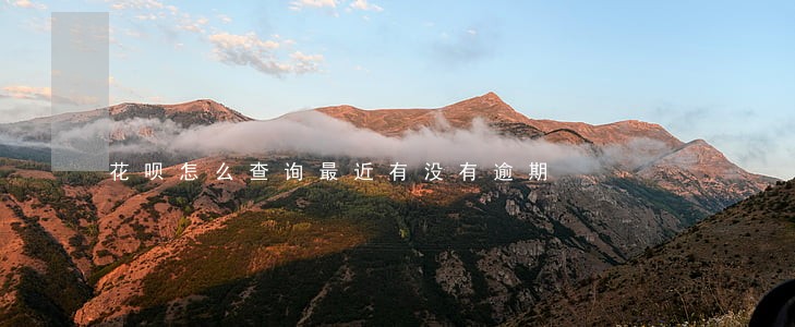 花呗怎么查询最近有没有逾期 花呗怎么查询最近有没有逾期