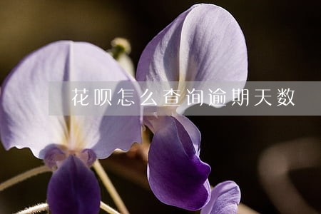 花呗怎么查询逾期天数 花呗怎么查询逾期天数