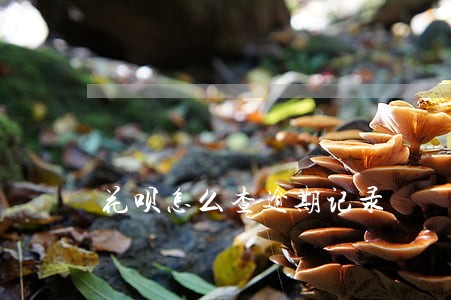花呗怎么查逾期记录 花呗怎么查逾期记录