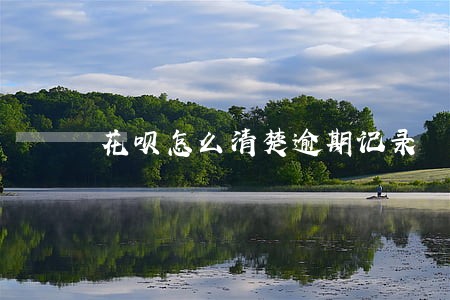 花呗怎么清楚逾期记录 花呗怎么清楚逾期记录