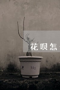 花呗怎么申请只还本金 花呗怎么申请只还本金
