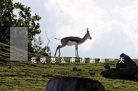 花呗怎么申请逾期一天 花呗怎么申请逾期一天