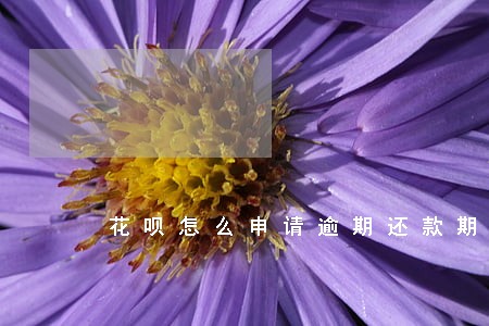 花呗怎么申请逾期还款期限 花呗怎么申请逾期还款期限