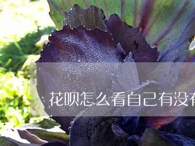 花呗怎么看自己有没有逾期记录 花呗怎么看自己有没有逾期记录