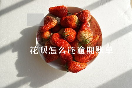 花呗怎么还逾期账单 花呗怎么还逾期账单