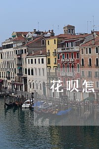 花呗怎么还逾期金额
