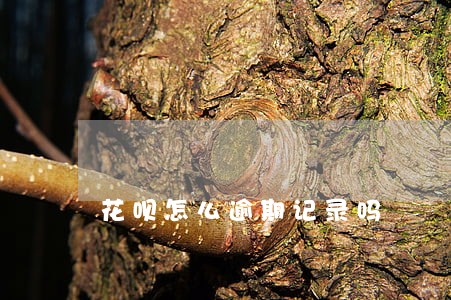 花呗怎么逾期记录吗 花呗怎么逾期记录吗