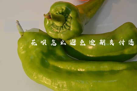 花呗怎么避免逾期支付违约金 花呗怎么避免逾期支付违约金