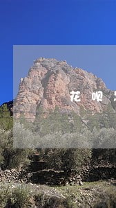 花呗怎样查看逾期多久 花呗怎样查看逾期多久