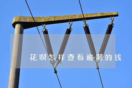 花呗怎样查看逾期的钱 花呗怎样查看逾期的钱
