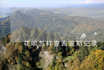 花呗怎样查询逾期记录 花呗怎样查询逾期记录