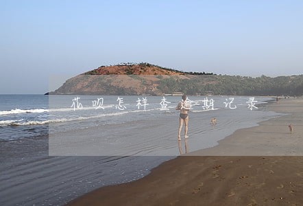 花呗怎样查逾期记录 花呗怎样查逾期记录