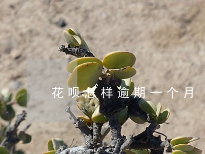 花呗怎样逾期一个月 花呗怎样逾期一个月
