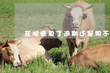 花呗恢复了逾期还是用不了 花呗恢复了逾期还是用不了