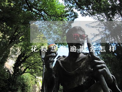 花呗恶意逾期会怎样 花呗恶意逾期会怎样