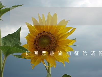 花呗恶意逾期征信消除 花呗恶意逾期征信消除