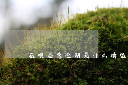 花呗恶意逾期是什么情况 花呗恶意逾期是什么情况