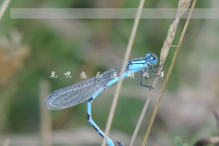 花呗您已逾期两年 花呗您已逾期两年