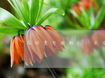 花呗意外逾期51天会怎么样 花呗意外逾期51天会怎么样