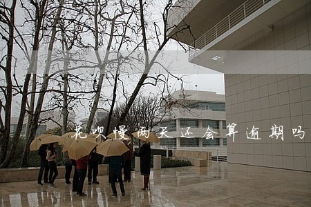 花呗慢两天还会算逾期吗 花呗慢两天还会算逾期吗