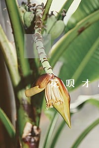 花呗才用一个月没逾期怎么会冻结 花呗才用一个月没逾期怎么会冻结