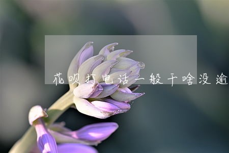 花呗打电话一般干啥没逾期 花呗打电话一般干啥没逾期