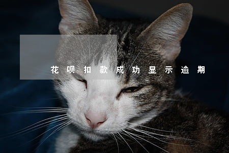 花呗扣款成功显示逾期 花呗扣款成功显示逾期