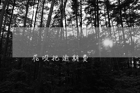 花呗把逾期费 花呗把逾期费