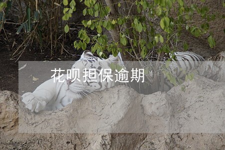 花呗担保逾期 花呗担保逾期