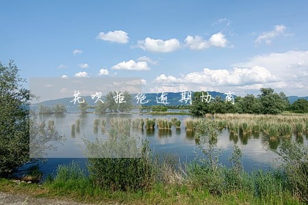 花呗拒绝逾期协商 花呗拒绝逾期协商