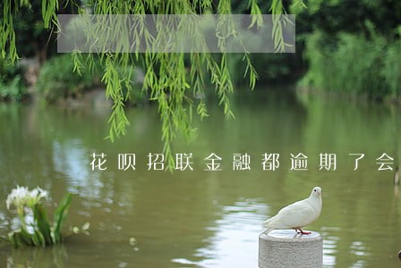 花呗招联金融都逾期了会怎么样 花呗招联金融都逾期了会怎么样