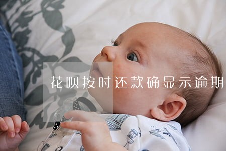 花呗按时还款确显示逾期 花呗按时还款确显示逾期
