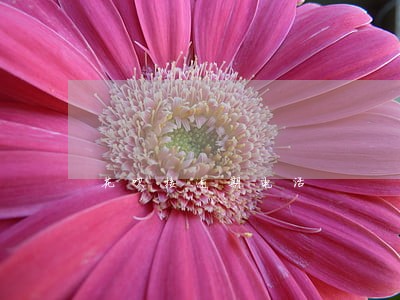 花呗接逾期电话 花呗接逾期电话