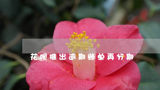 花呗推出逾期账单再分期