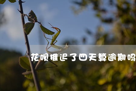 花呗推迟了四天算逾期吗 花呗推迟了四天算逾期吗