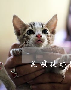 花呗提示微贷逾期怎么办 花呗提示微贷逾期怎么办