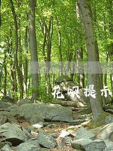 花呗提示微贷逾期怎么还 花呗提示微贷逾期怎么还