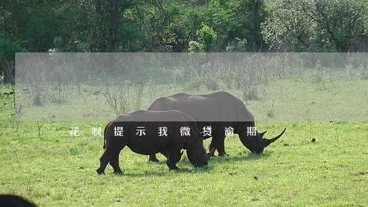 花呗提示我微贷逾期 花呗提示我微贷逾期