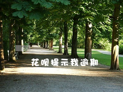 花呗提示我逾期 花呗提示我逾期
