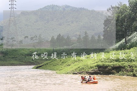 花呗提示有逾期未还款怎么还 花呗提示有逾期未还款怎么还