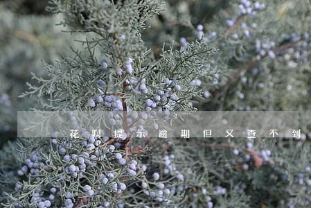 花呗提示逾期但又查不到逾期在哪 花呗提示逾期但又查不到逾期在哪