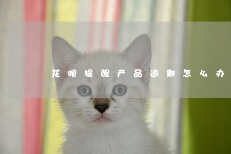 花呗提醒产品逾期怎么办 花呗提醒产品逾期怎么办