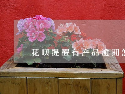 花呗提醒有产品逾期怎么查询 花呗提醒有产品逾期怎么查询