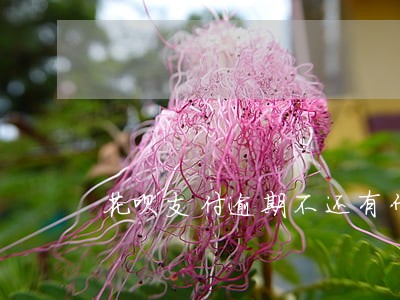 花呗支付逾期不还有什么后果 花呗支付逾期不还有什么后果