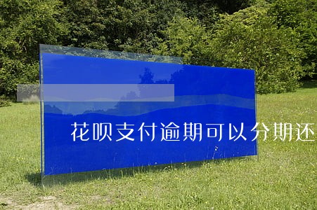 花呗支付逾期可以分期还款吗 花呗支付逾期可以分期还款吗