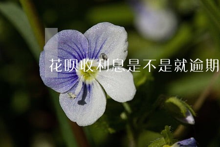 花呗收利息是不是就逾期了 花呗收利息是不是就逾期了
