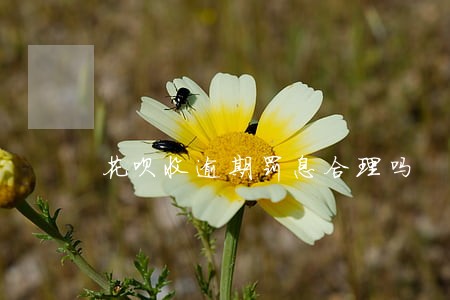 花呗收逾期罚息合理吗 花呗收逾期罚息合理吗